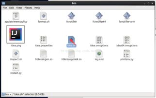 軟件開發(fā)的多維視角