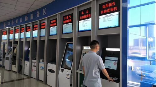 政務服務大廳創新便民舉措 征信報告自助查詢與物流信息咨詢服務雙入駐